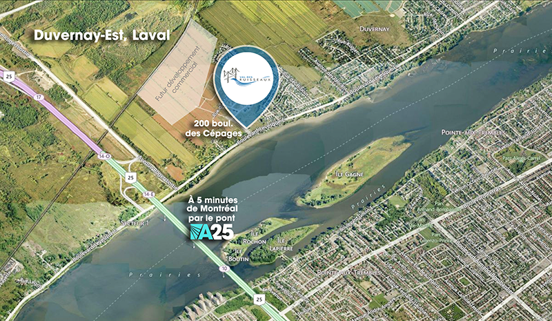 Neighborhood Map